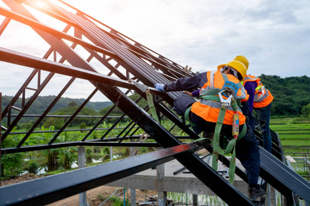 Best Roof Gutter Cleaning  in Connersville, IN